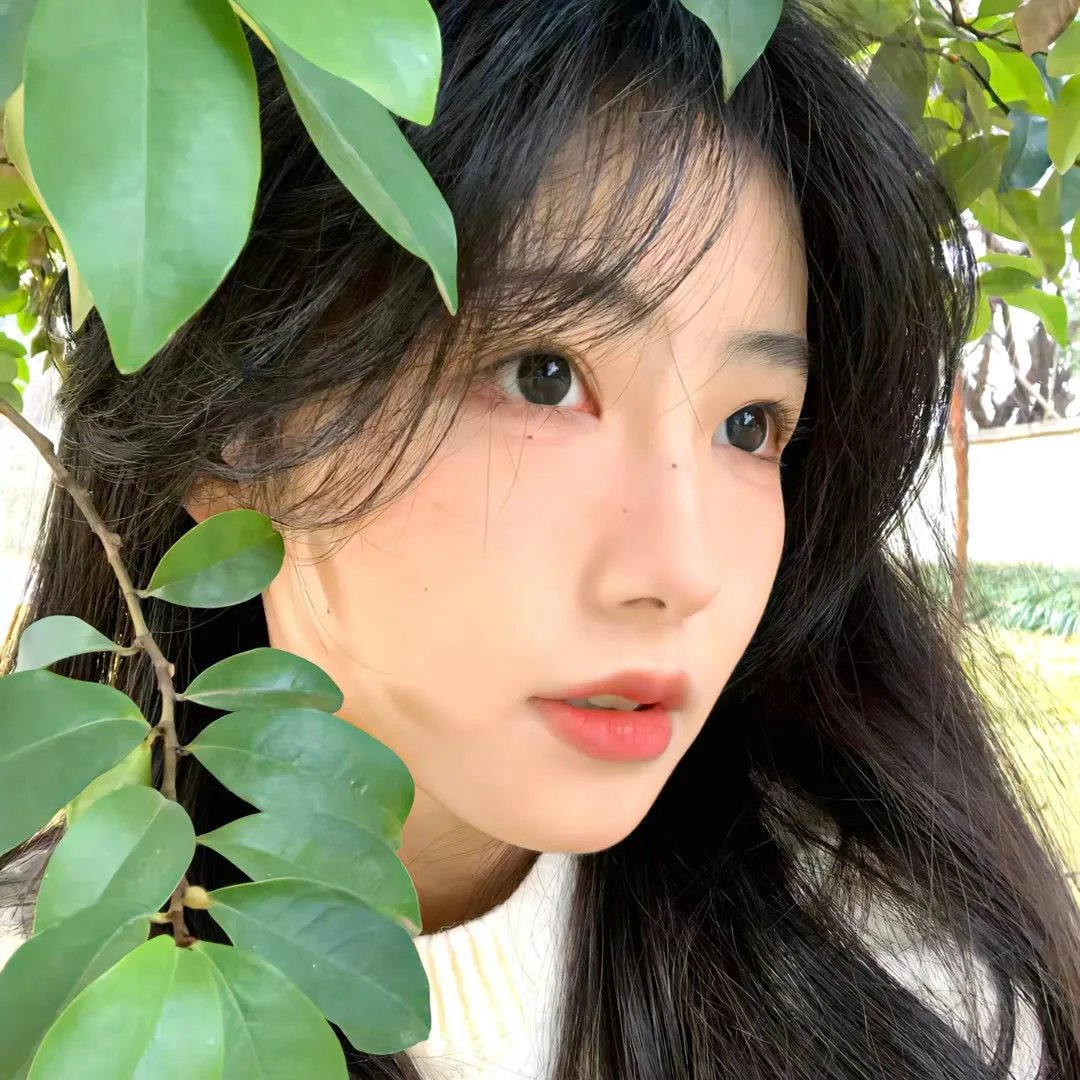 我们的法兰西岁月